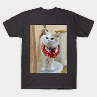 the handsome white cats T-Shirt